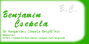 benjamin csepela business card